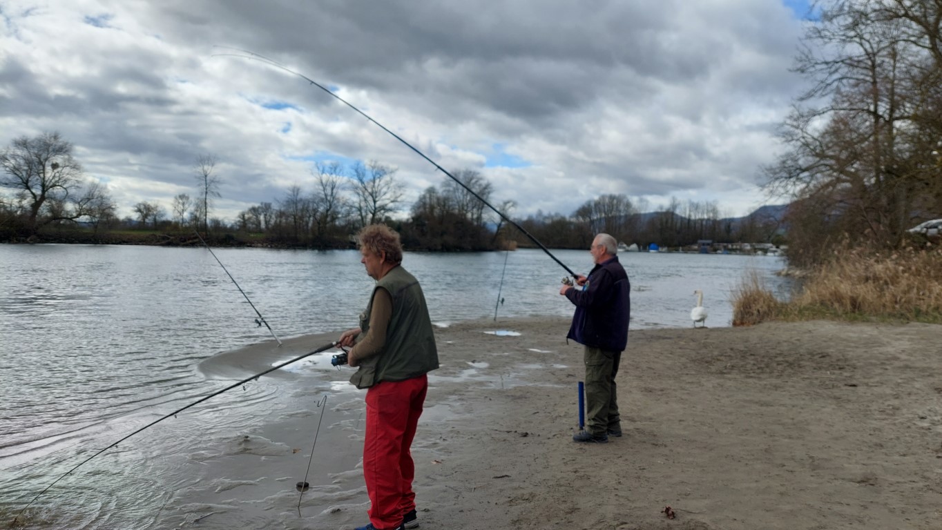  2Fischer an der Aare