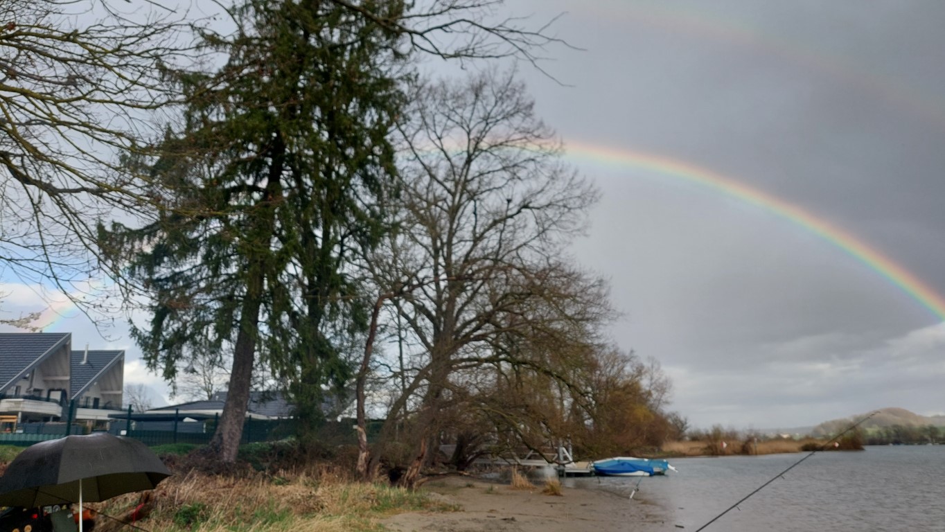 Regenbogen über der Aare
