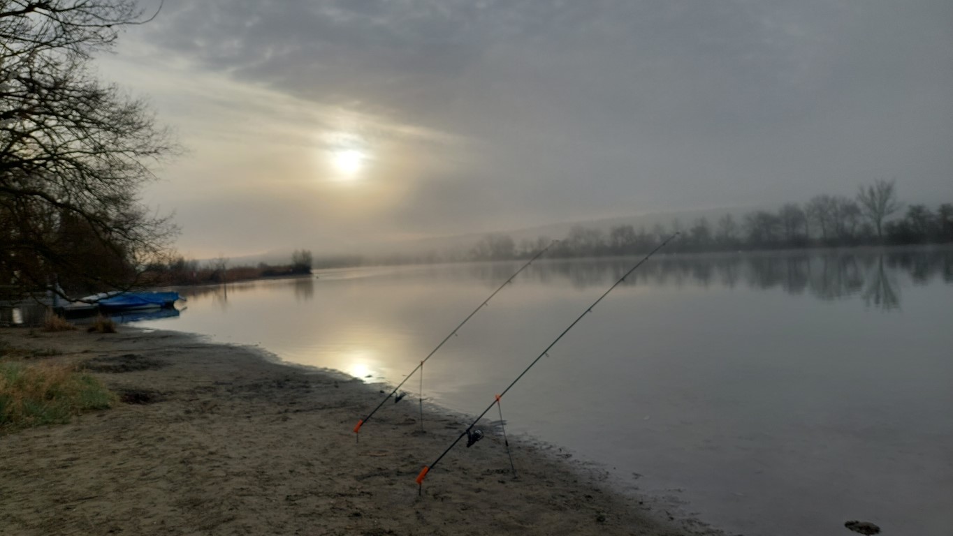  Fischerruten an der Aare